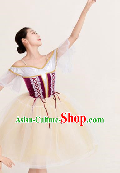Long Skirt Lace Palace Lace Dance Skirt Performance Costume Stage Costume