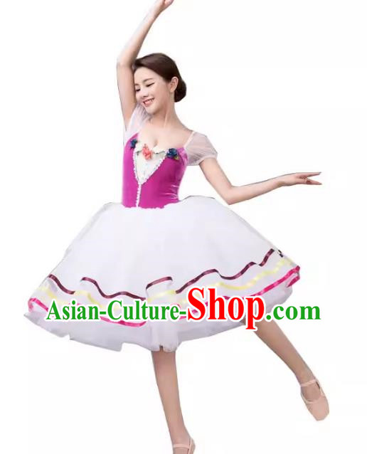 Gauze Skirt Performance Clothing Women White Long Tutu Skirt Ballet Professional Dance Skirt Performance Clothing