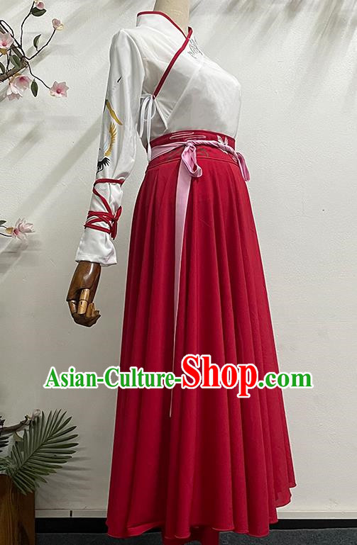 China Classical Dance Book Simple Simple Solid Color Elegant Long Skirt Practice Ancient Style Dance Costume