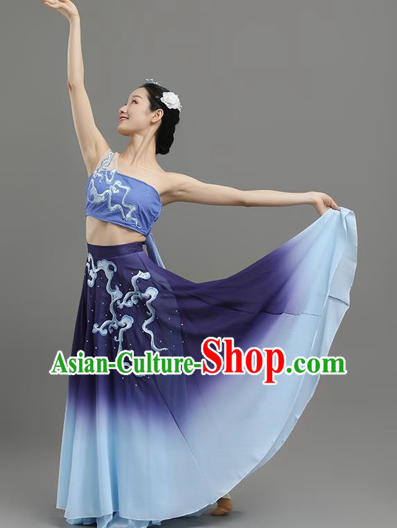 China Classical Dance Dance Under The Moon Dance Costume Big Skirt Practice Art Test Performance Dance Performance Costume