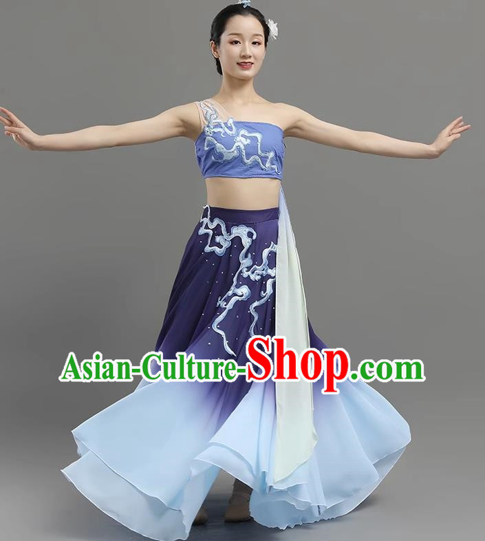 China Classical Dance Dance Under The Moon Dance Costume Big Skirt Practice Art Test Performance Dance Performance Costume