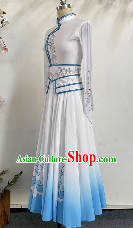 China Mongolian Clothing Performance Clothing Elegant Large Skirt Gradient Color Self Cultivation Dress Long Skirt Art Test Practice Performance Clothing