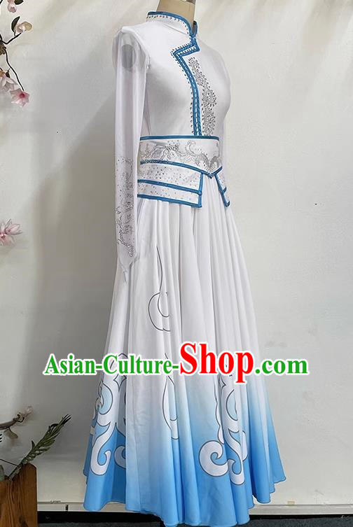 China Mongolian Clothing Performance Clothing Elegant Large Skirt Gradient Color Self Cultivation Dress Long Skirt Art Test Practice Performance Clothing