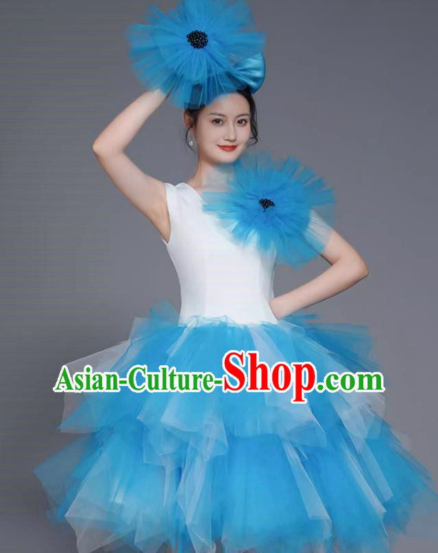 Modern Dance Costumes Fashion Dancer Costumes Opening Dance Costumes Fluffy Chorus Square Dance Dresses