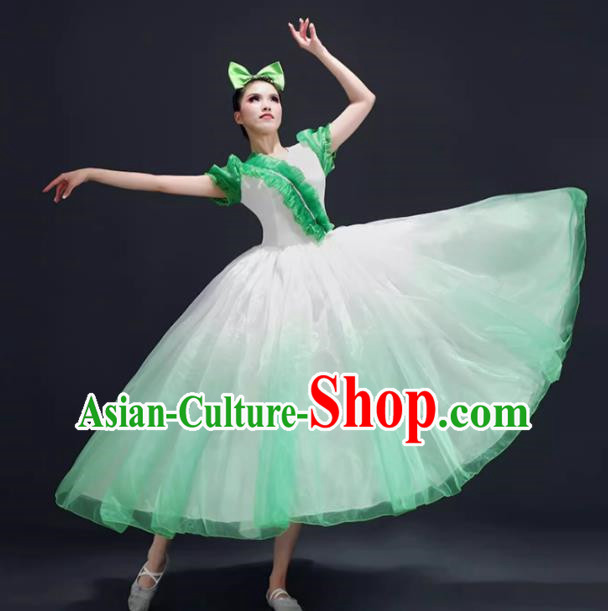 Opening Dance Big Swing Skirt Performance Costume Female Modern Dance Costume Song and Dance Performance Costume Classical Stage Long Skirt