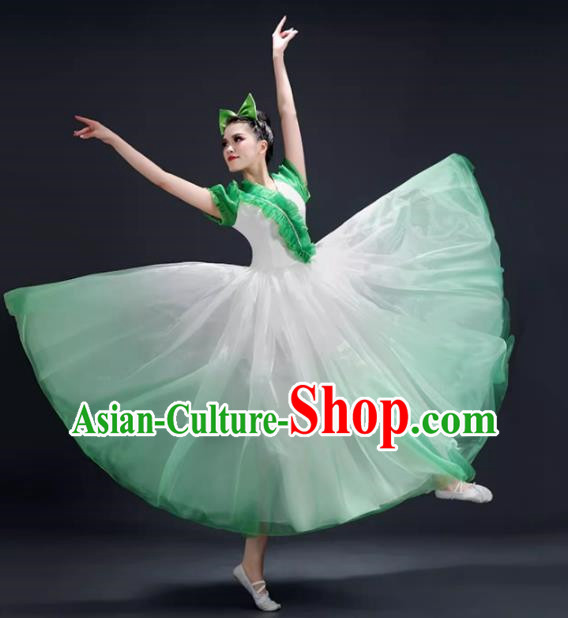 Opening Dance Big Swing Skirt Performance Costume Female Modern Dance Costume Song and Dance Performance Costume Classical Stage Long Skirt