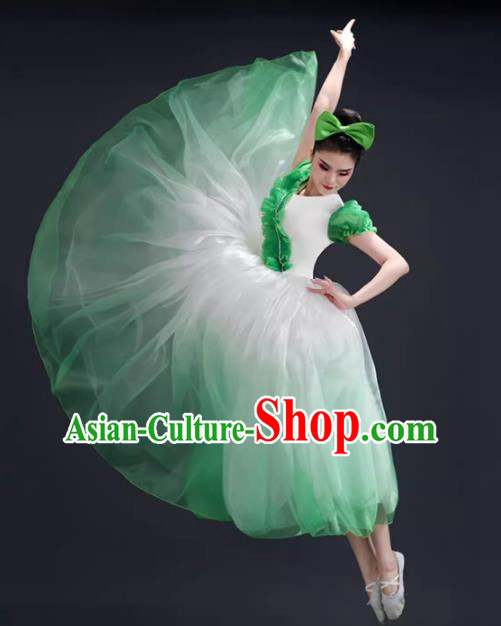 Opening Dance Big Swing Skirt Performance Costume Female Modern Dance Costume Song and Dance Performance Costume Classical Stage Long Skirt