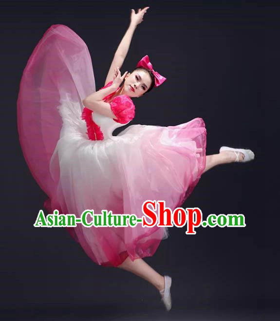 Opening Dance Big Swing Skirt Performance Costume Female Dance Costume Song and Dance Dress Modern Stage Long Skirt