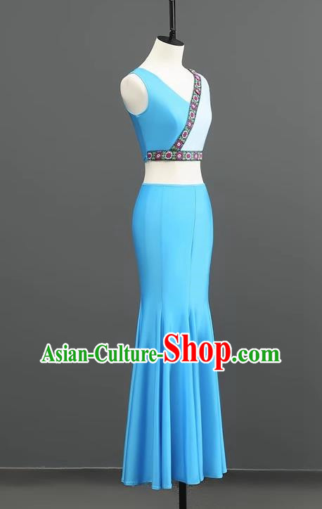 Dai Dance Performance Costumes Female Students Exam Art Examination Practice Chinese Minority Costumes
