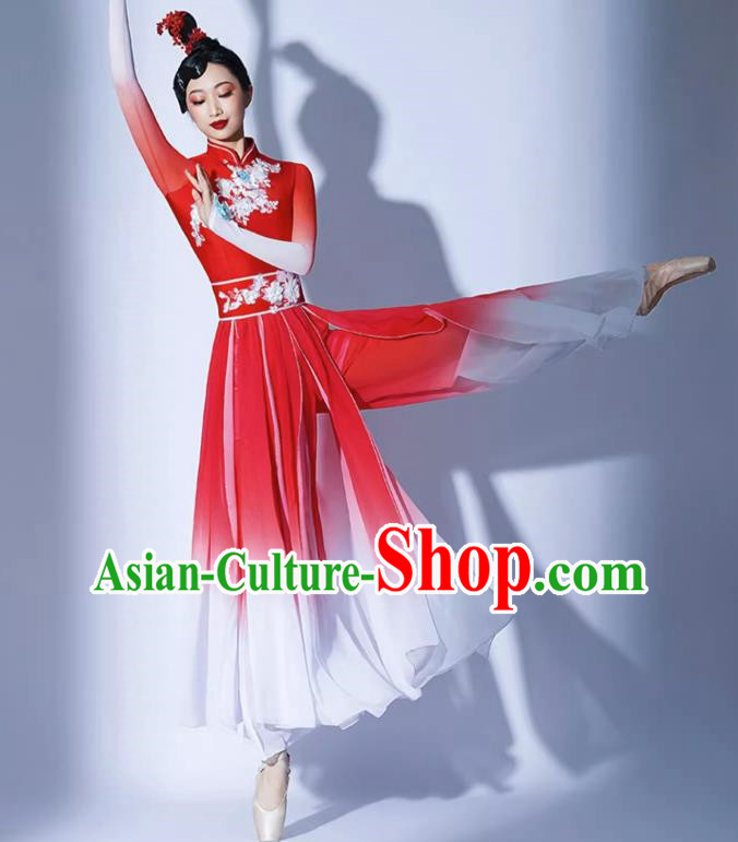 Classical Dance Jiaozhou Yangko Performance Costume Mangzhong Ancient Style Dance Clothing Practice Clothing Umbrella Dance Performance