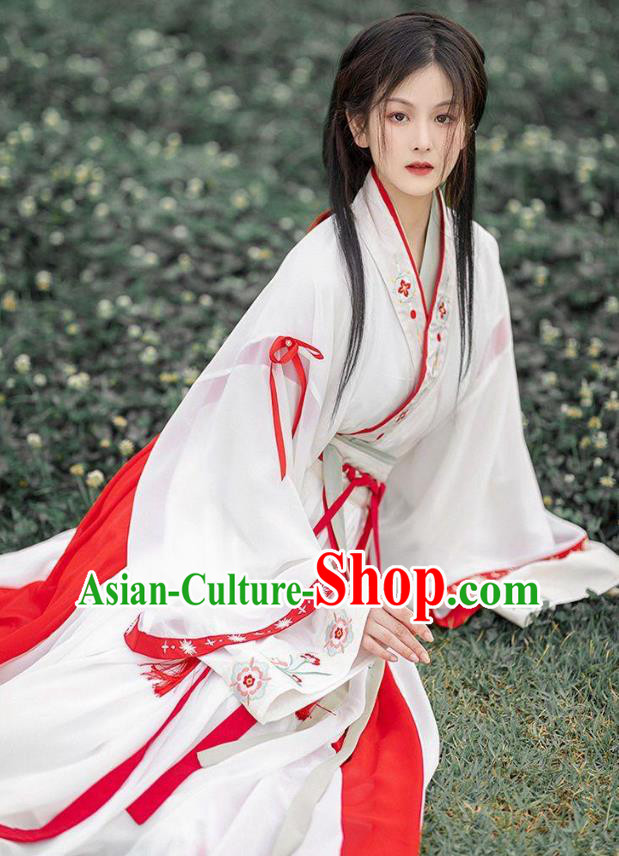 Chinese Ancient Heroine Clothing Hanfu White Ru Qun Jin Dynasty Swordswoman Dresses