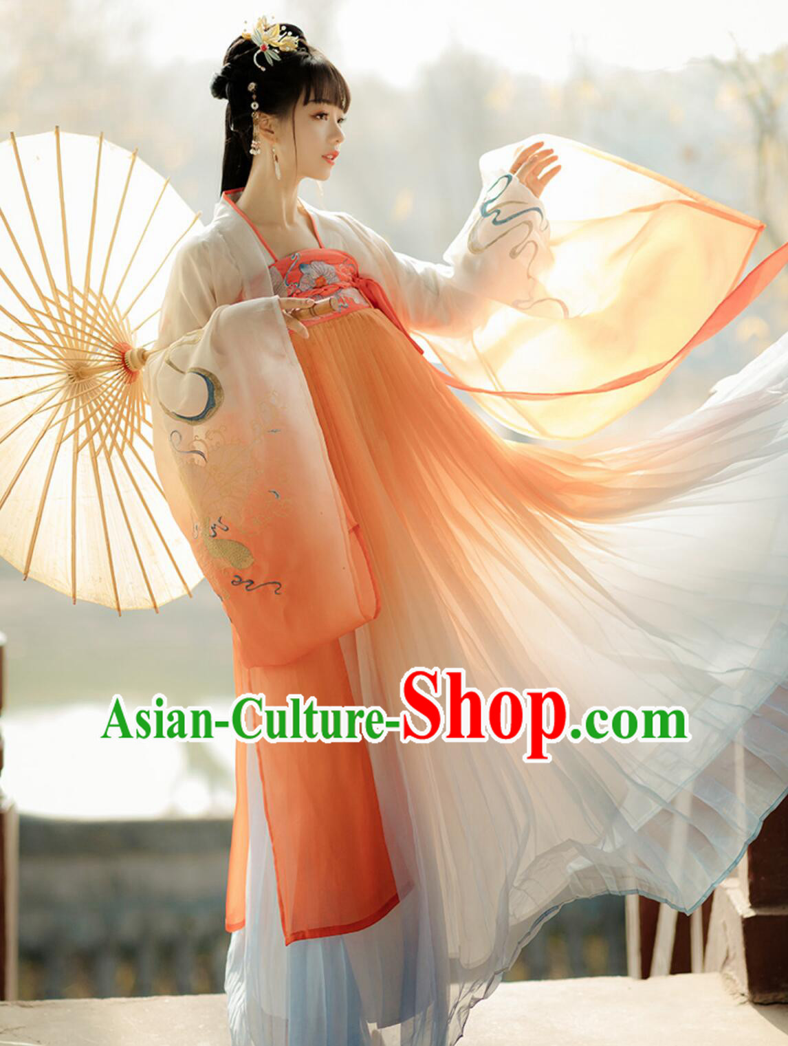 Traditional Chinese Clothing Tang Dynasty Princess Hanfu Dress Ancient China Young Lady Costume