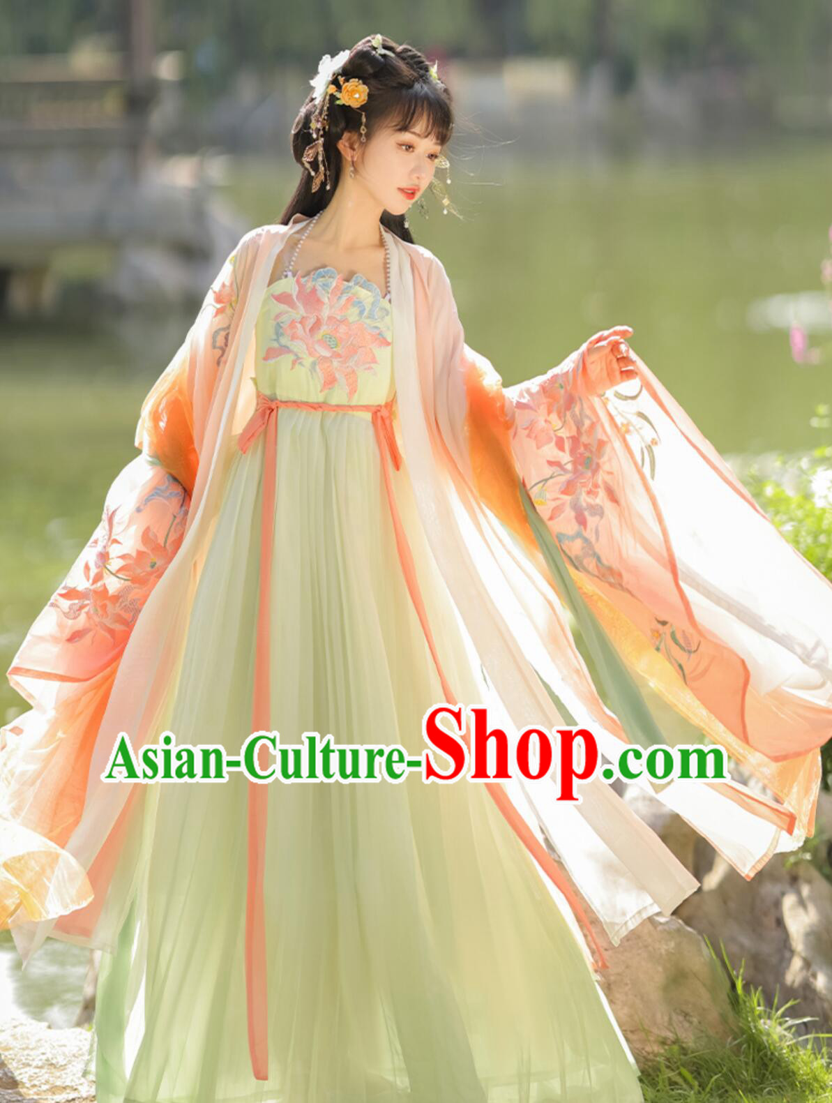 Ancient China Young Lady Costume Traditional Chinese Clothing Tang Dynasty Princess Hanfu Dress