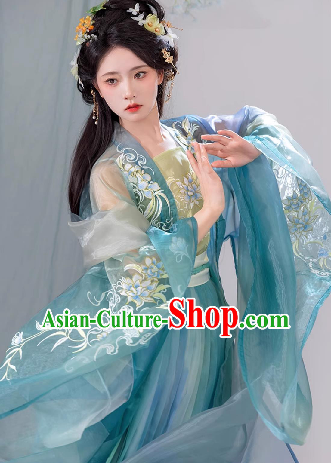 Chinese Song Dynasty Princess Clothing Ancient China Fairy Costume Traditional Blue Hanfu Dress