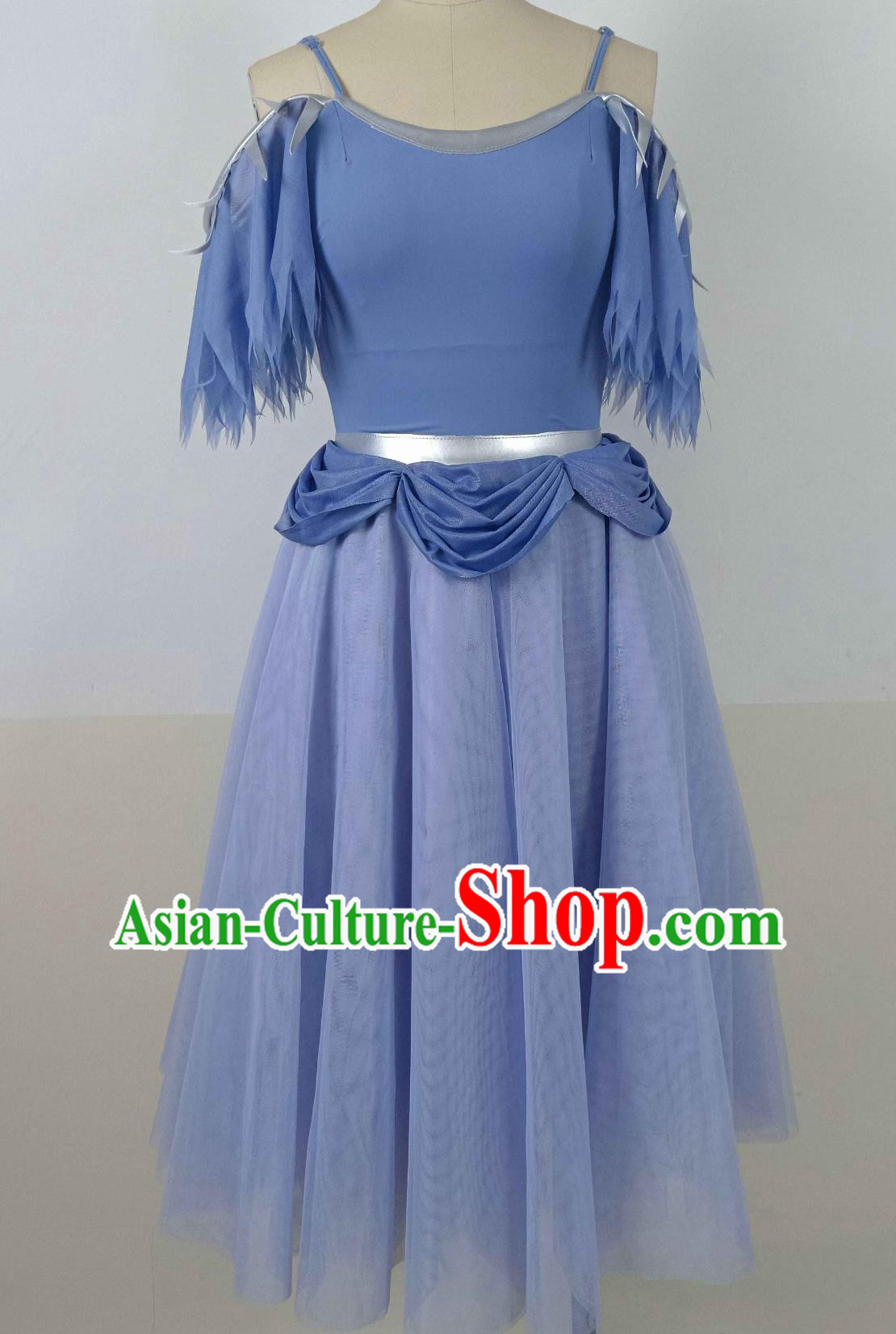 Top Ballet Dance Blue Dress Women Group Dance Costume Stage Performance Clothing