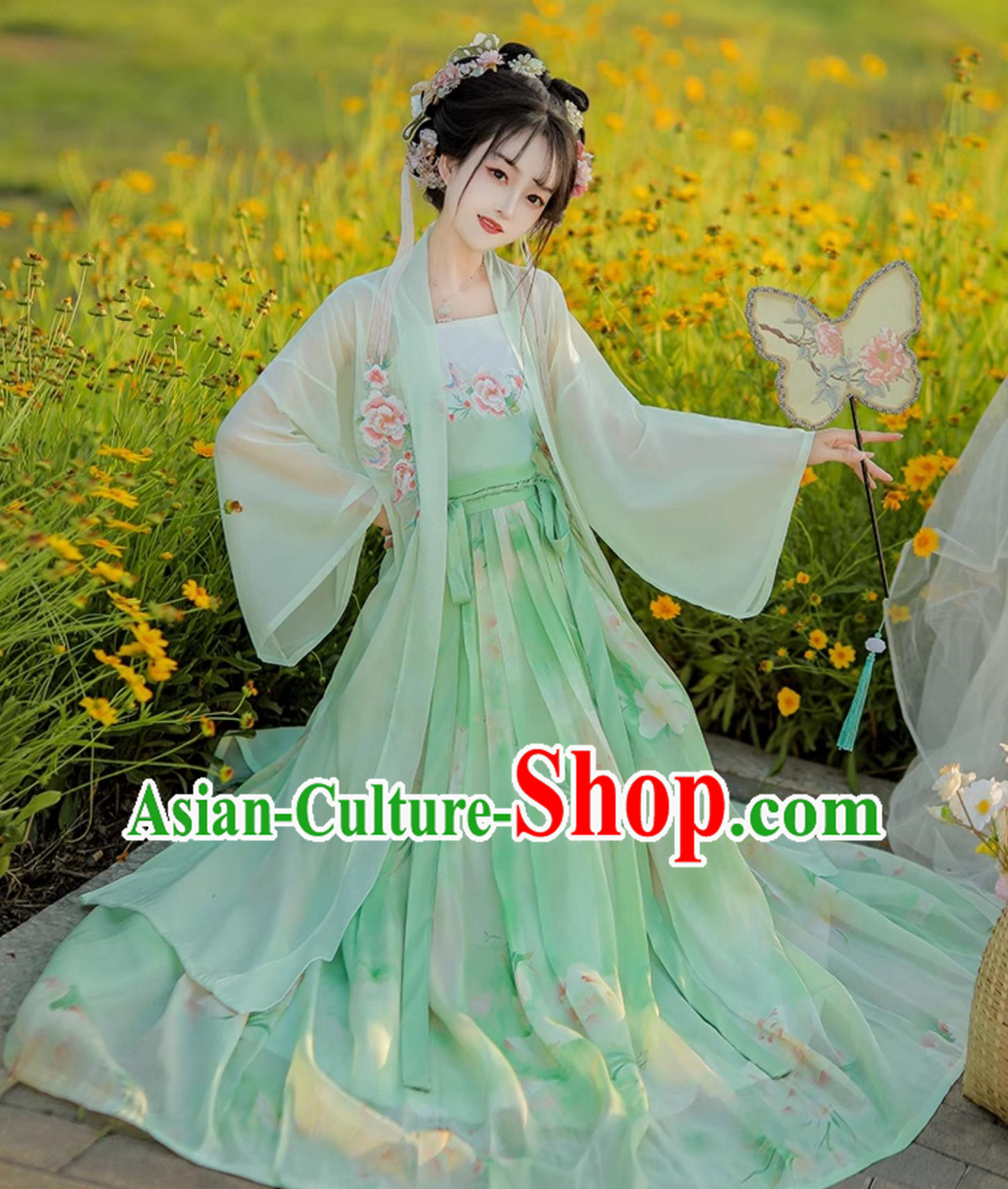 Ancient China Young Lady Clothing Traditional Green Hanfu Dress Chinese Song Dynasty Costume