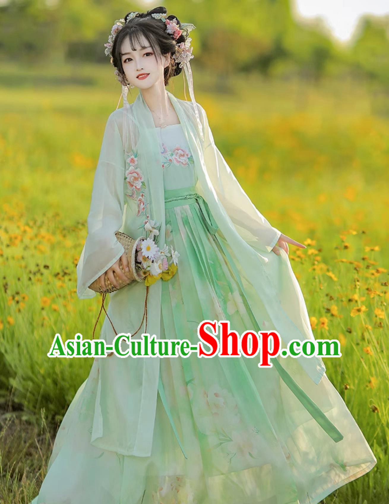Ancient China Young Lady Clothing Traditional Green Hanfu Dress Chinese Song Dynasty Costume