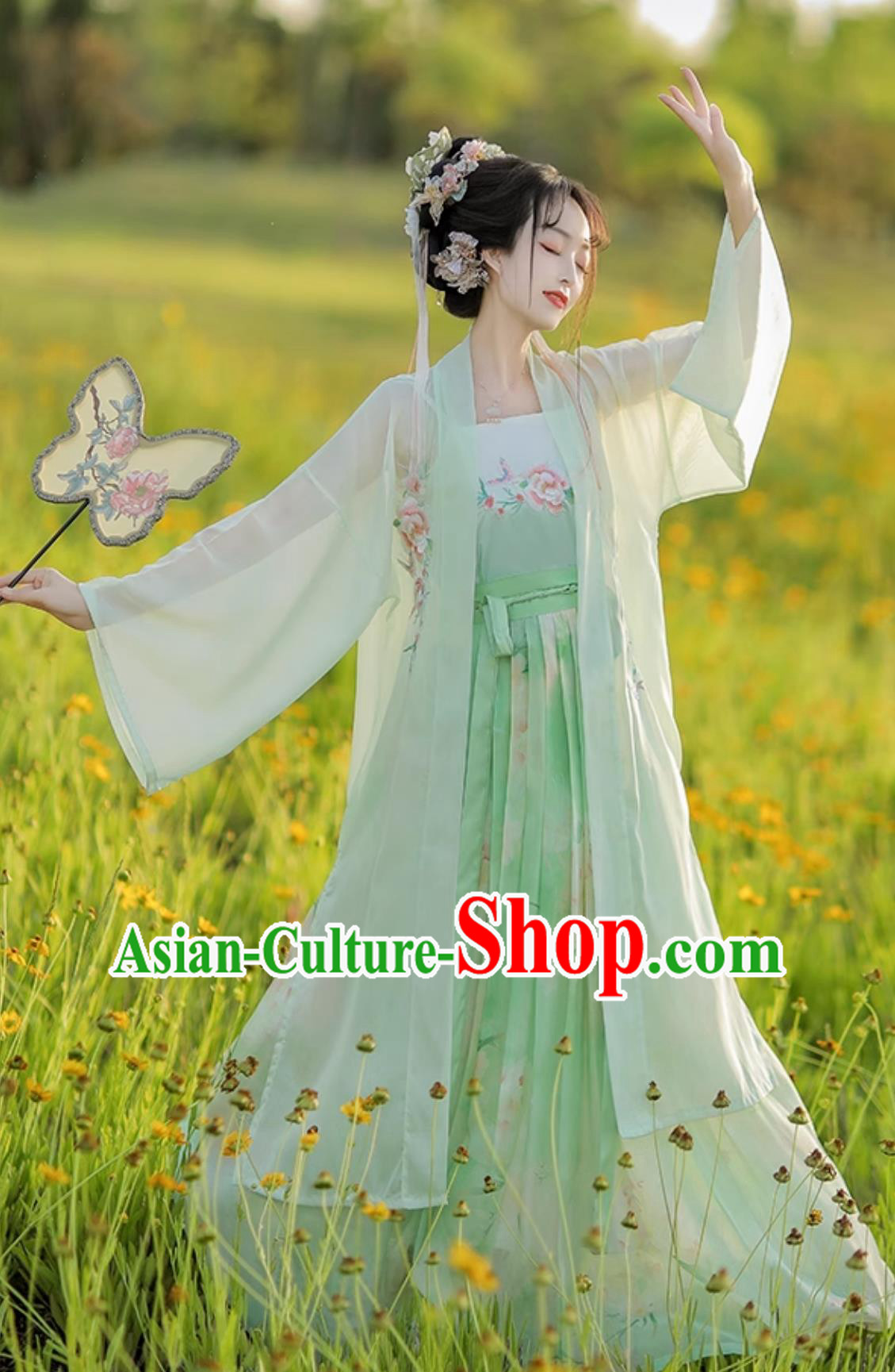 Ancient China Young Lady Clothing Traditional Green Hanfu Dress Chinese Song Dynasty Costume