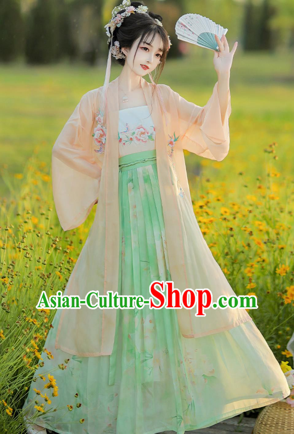 Chinese Song Dynasty Female Costume Ancient China Young Lady Clothing Traditional Hanfu Dress