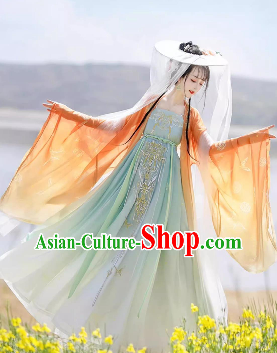 Traditional Chinese Hanfu Dress Ancient China Royal Princess Costume Tang Dynasty Court Woman Clothing