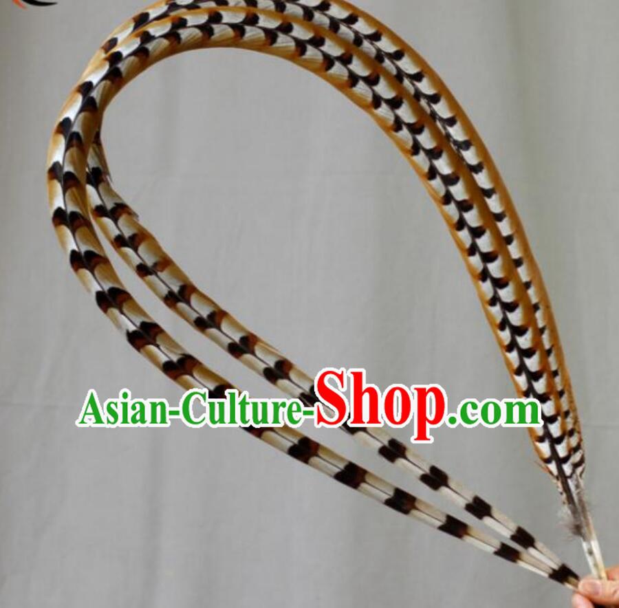 Chinese Peking Opera Lingzi Top Natural Long Feathers