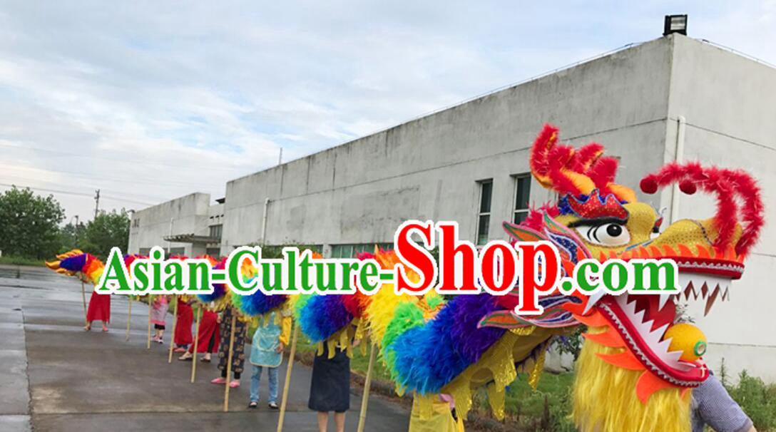 Chinese Celebration Parade Dance Dragon Handmade Feather Dancing Dragon New Year Phoenix Dragon Costumes Complete Set