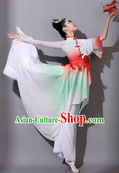Classical Dance Performance Outfit Women Graceful Solo Dance Costume Chinese Fan Dance Clothing