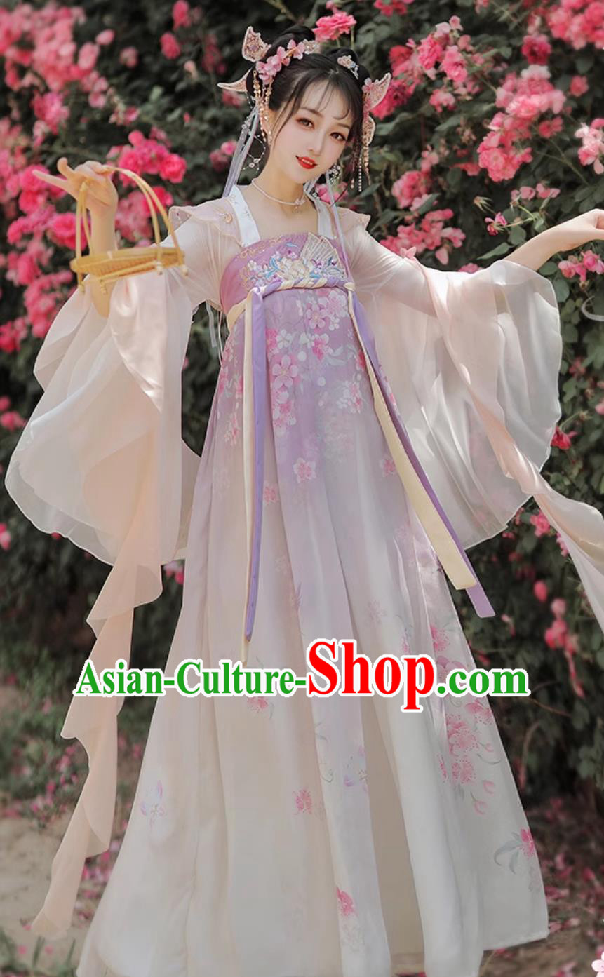 Chinese Woman Hanfu Dresses Ancient Palace Princess Costumes Traditional Fairy Clothing