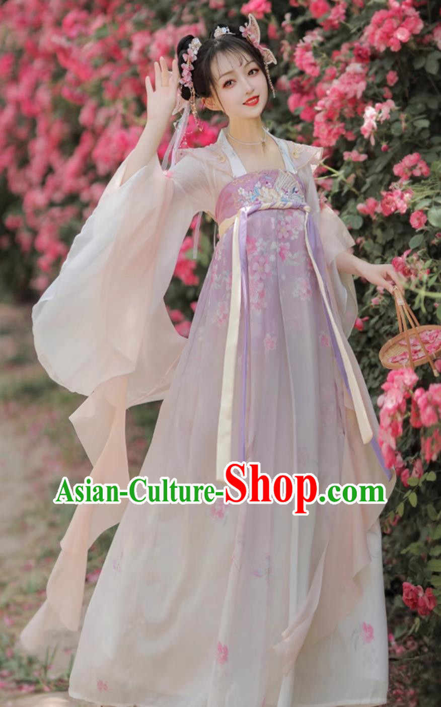 Chinese Woman Hanfu Dresses Ancient Palace Princess Costumes Traditional Fairy Clothing