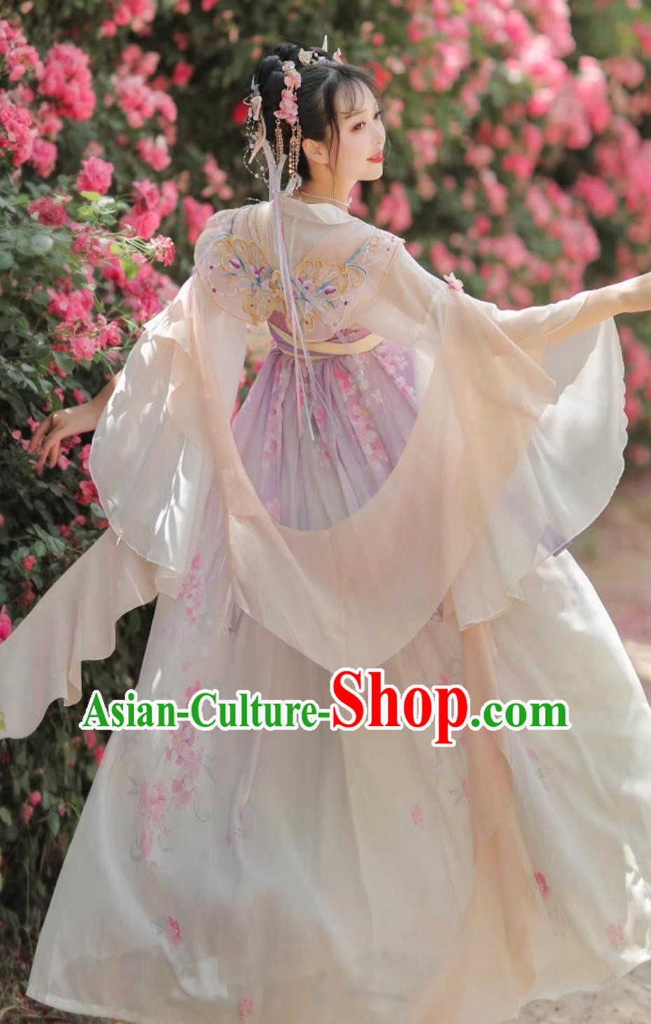 Chinese Woman Hanfu Dresses Ancient Palace Princess Costumes Traditional Fairy Clothing