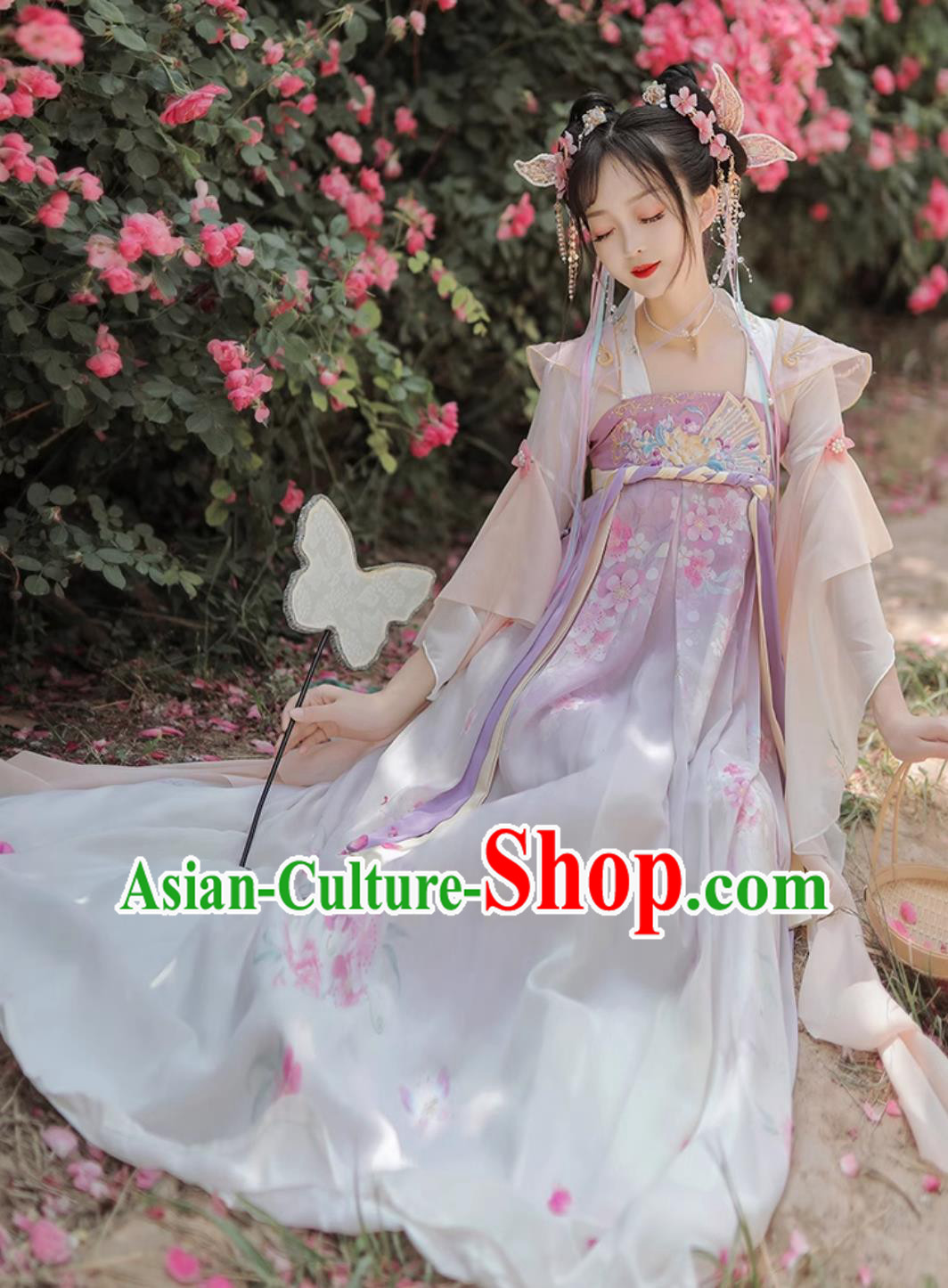 Chinese Woman Hanfu Dresses Ancient Palace Princess Costumes Traditional Fairy Clothing