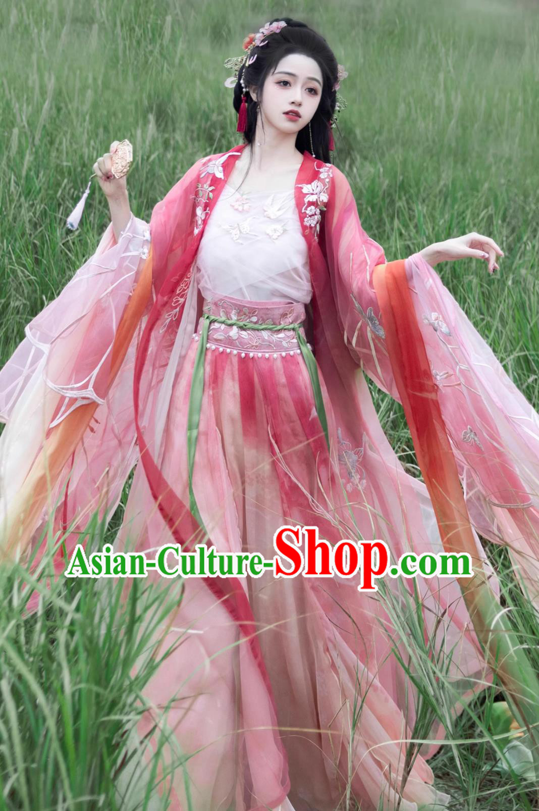 Chinese Princess Embroidered Heizi Dress Ancient Goddess Costumes Hanfu Online Shop