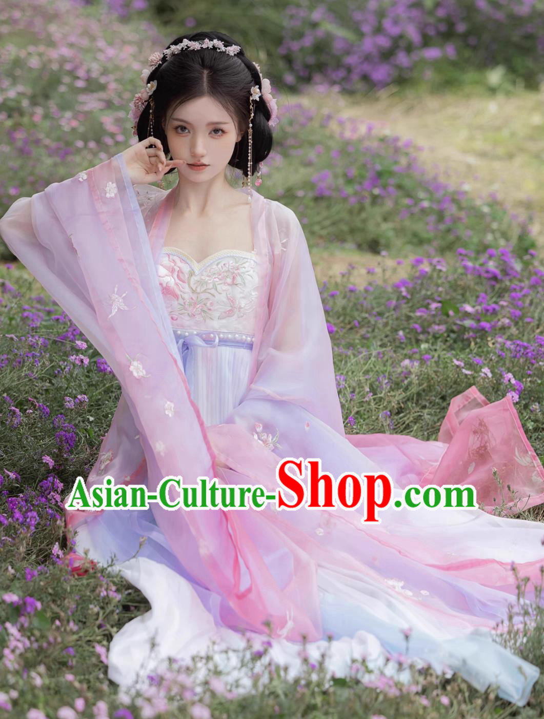Online Shop Hanfu Chinese Southern Dynasties Princess Embroidered Pink Dresses Ancient Empress Garment Costumes
