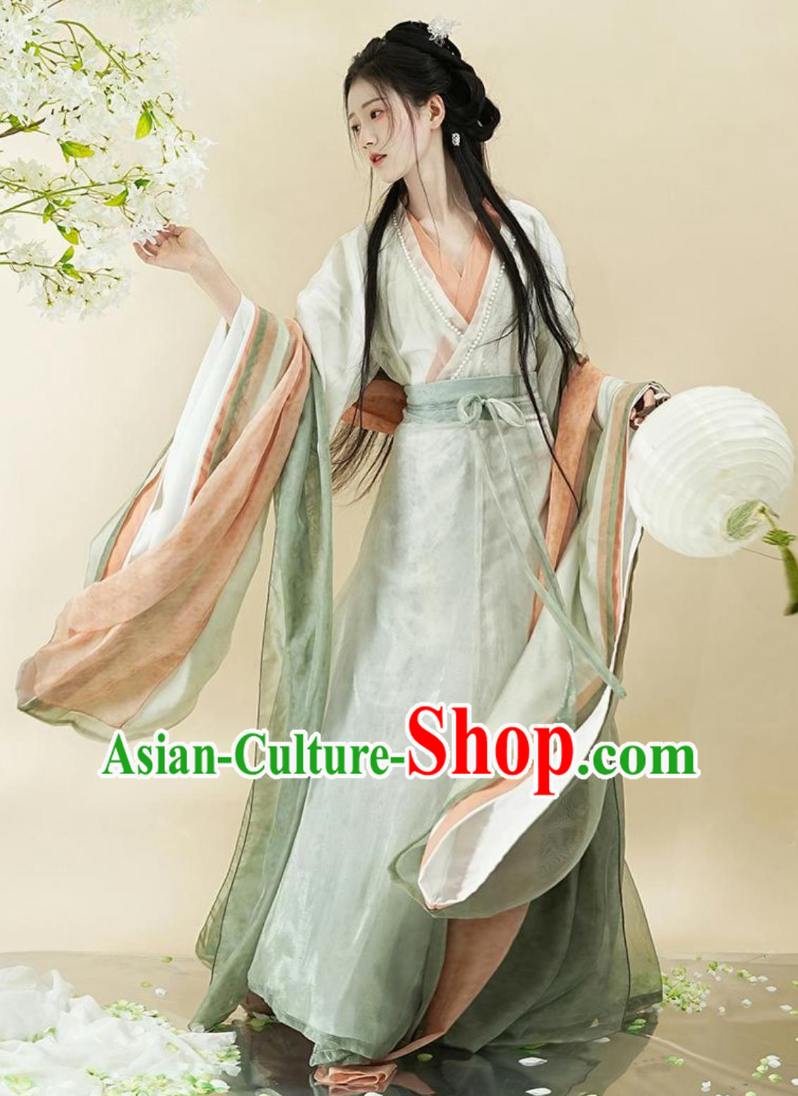 Ancient China Southern and Northern Dynasties Hanfu Clothing Online Buy Traditional Chinese Princess Costume Female Dress