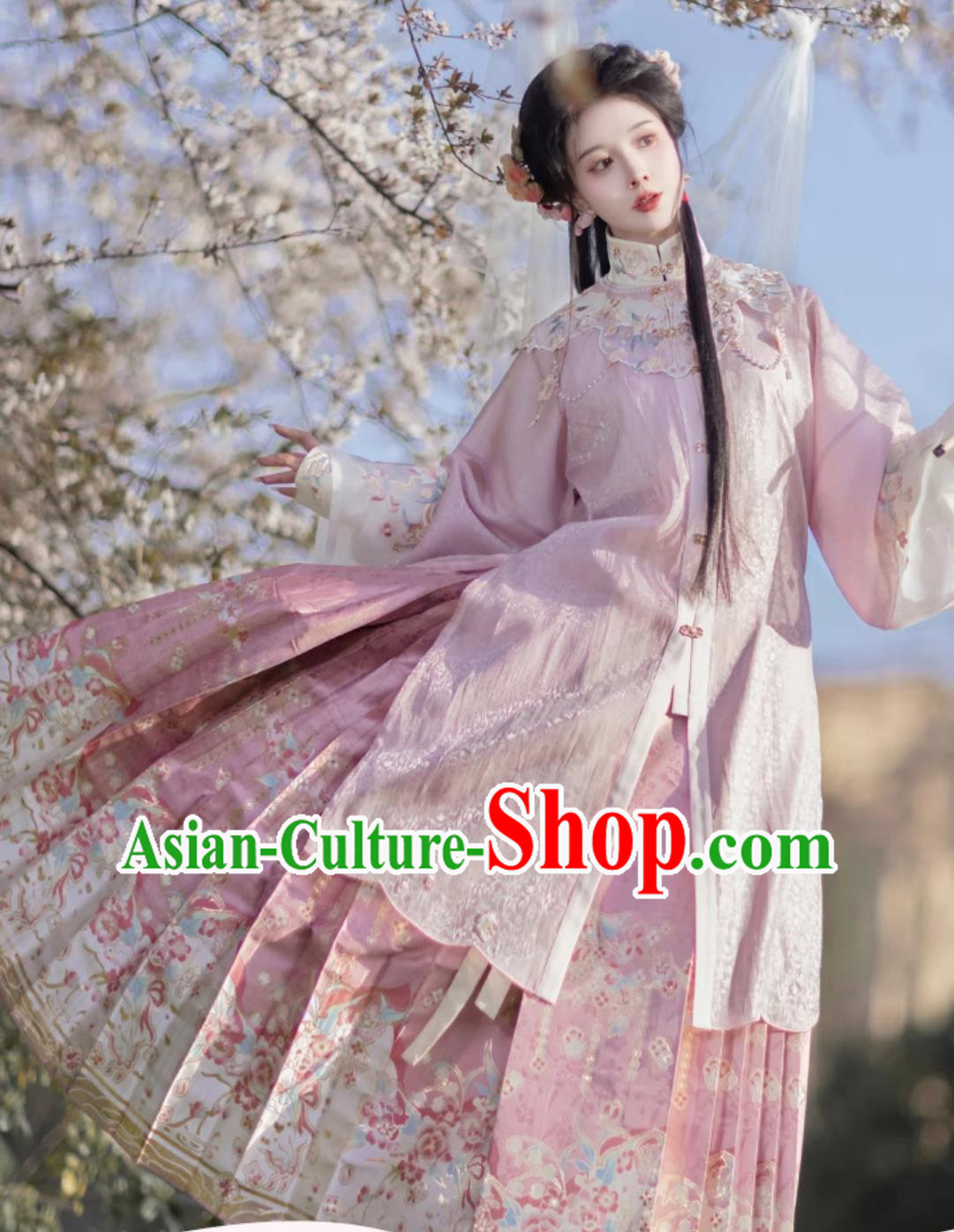 Traditional Ming Dynasty Princess Hanfu China Pink Long Shirt and Mamian Qun Ancient Chinese Female Costumes