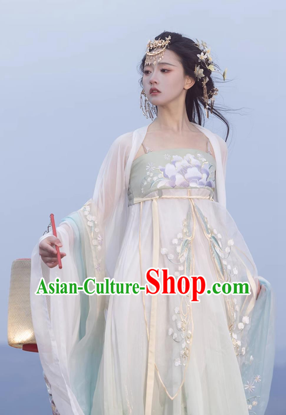 Ancient Chinese Female Costume Traditional Tang Dynasty Princess Hanfu China Classical Hezi Qun