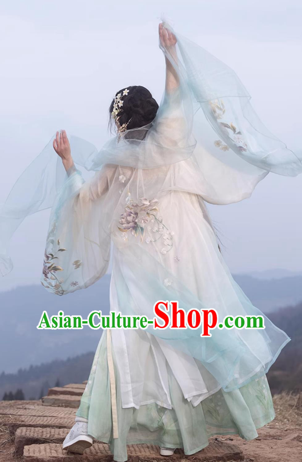 Ancient Chinese Female Costume Traditional Tang Dynasty Princess Hanfu China Classical Hezi Qun