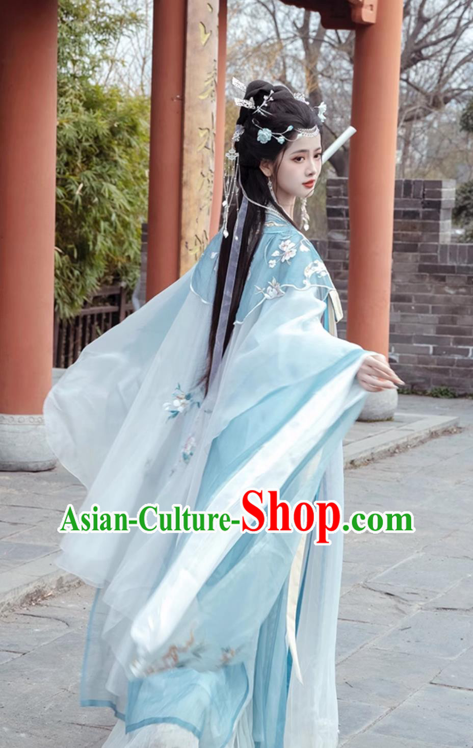 Traditional Hanfu Dress Ancient Chinese Female Clothing Tang Dynasty Princess Blue Garments