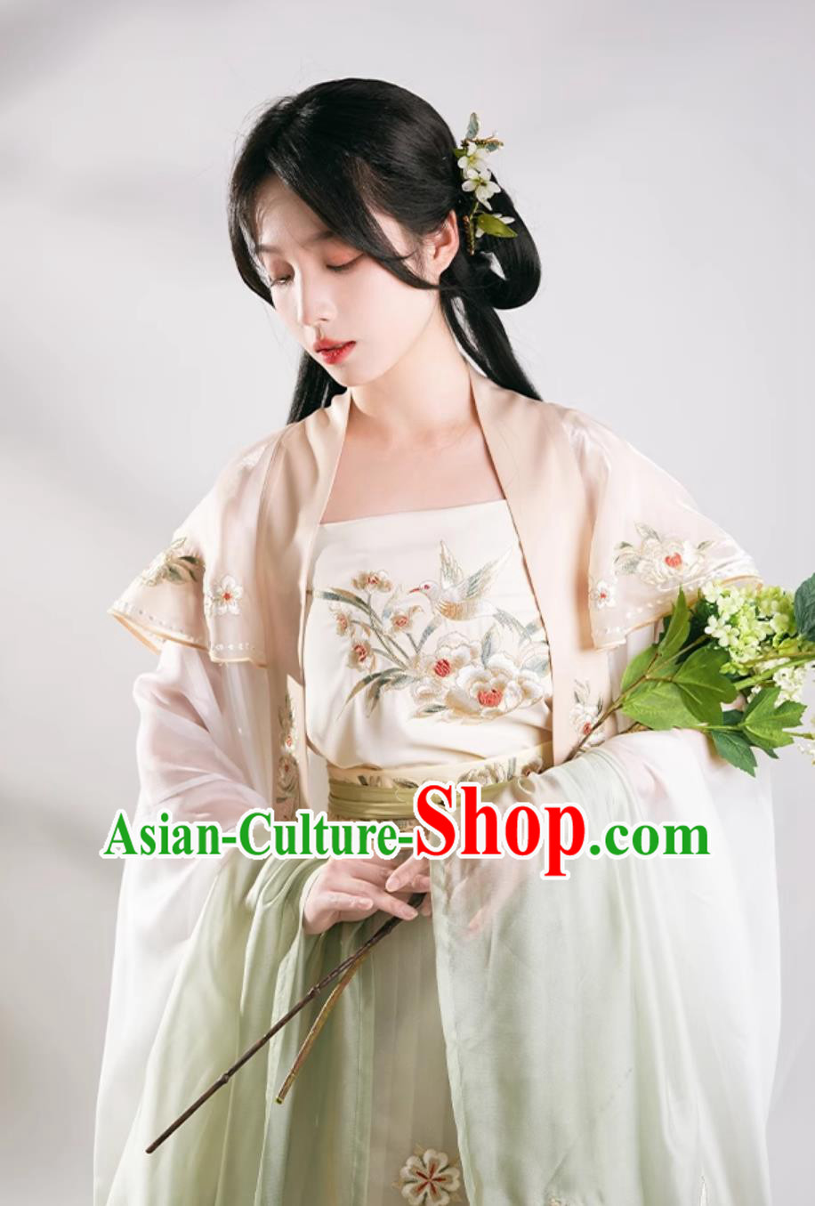 China Traditional Hanfu Dress Song Dynasty Woman Clothing Ancient Young Lady Costumes