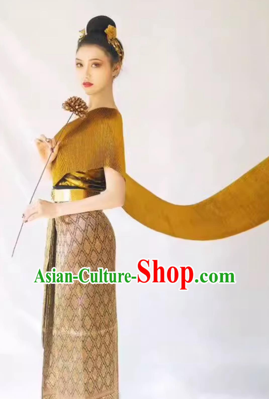 Thailand Traditional Golden Top and Brown Skirt China Dai Ethnic Dress Xishuangbanna Festival Clothing