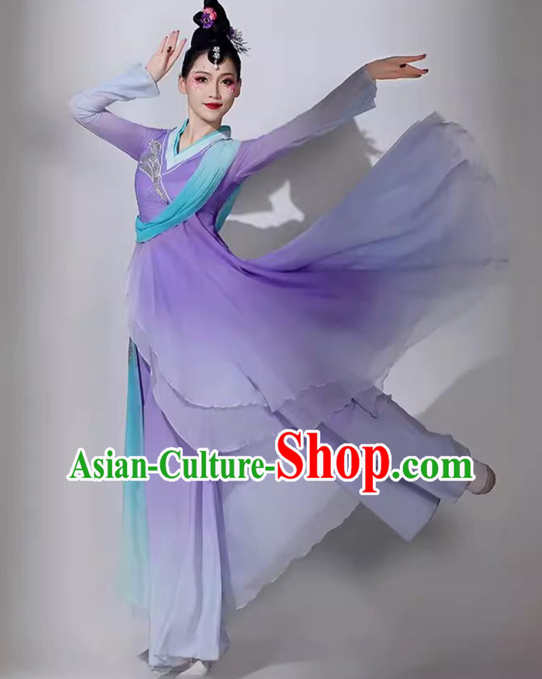 Traditional Dan Dance Lilac Dress Women Group Performance Clothing Chinese Classical Dance Costume
