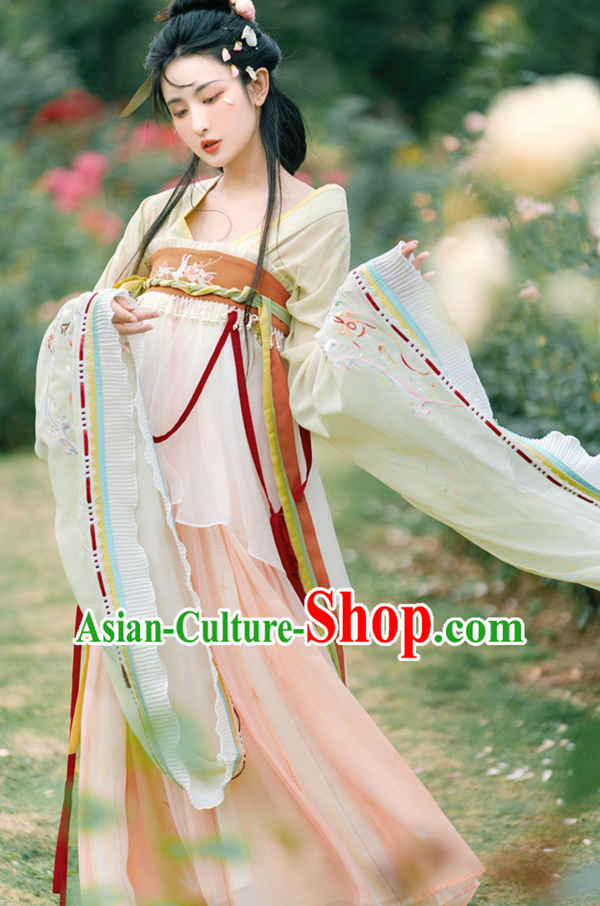 Traditional Hanfu Ancient China Fairy Clothing Chinese Southern and Northern Dynasties Princess Dress