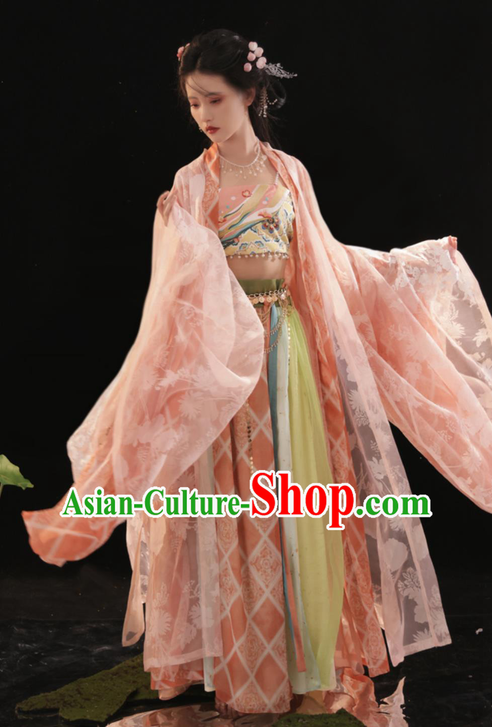 Chinese Tang Dynasty Princess Dress Traditional Hanfu Ancient China Fairy Clothing