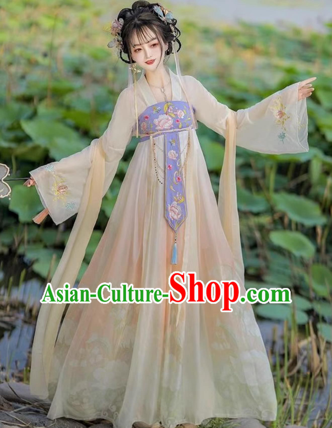 Traditional Hanfu Ruqun Chinese Tang Dynasty Young Lady Costume Ancient China Woman Clothing