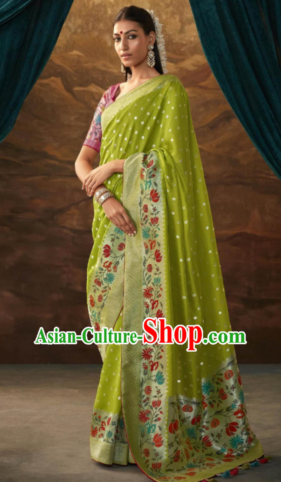 India Woman Festive Dress National Green Sari Indian Traditional Clothing